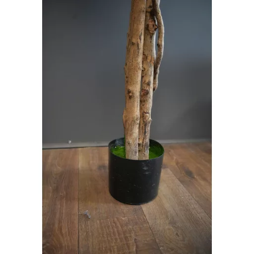 Umelý fikus v kvetináči - 180 cm