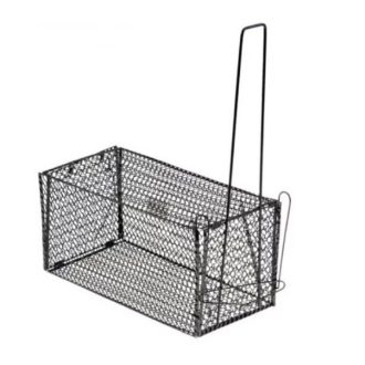   Pasca na myši a potkany (lepidlo) (28 cm x 14,5 cm x 14,5 cm)